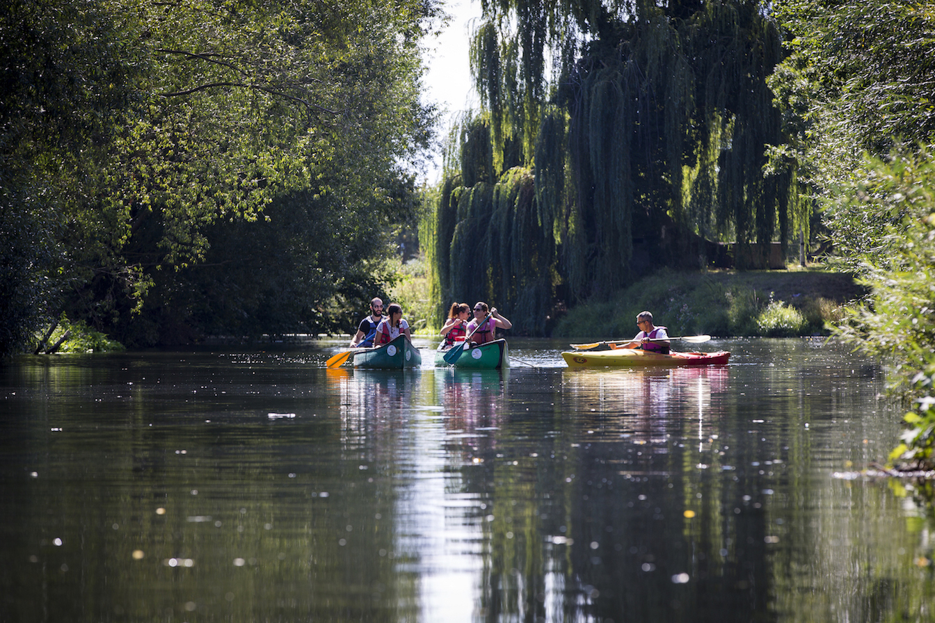 CSE, TEAM BUILDING, AGENCES....