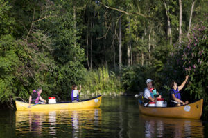 Canoë groupes adultes 