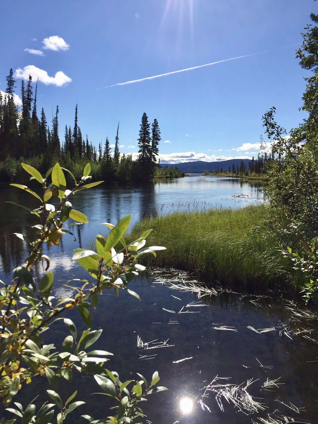  Séjour Yukon-Canada  Août 2024